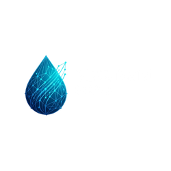 Blue Rain Digital